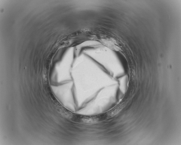 X0000075360561200609291504