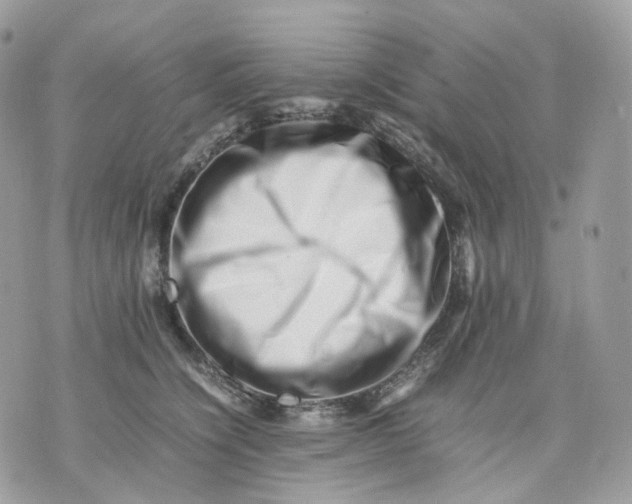 X0000075360564200609291504