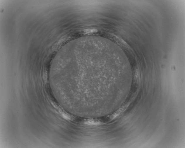 X0000075360565200609291504