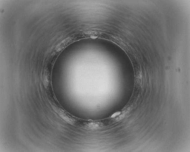 X0000075360566200609291504