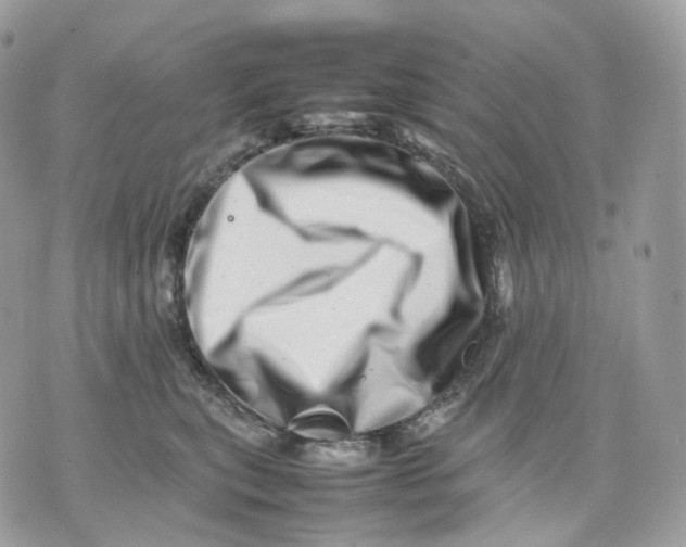 X0000075360567200609291504