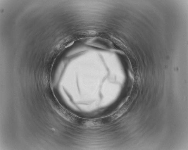 X0000075360568200609291504