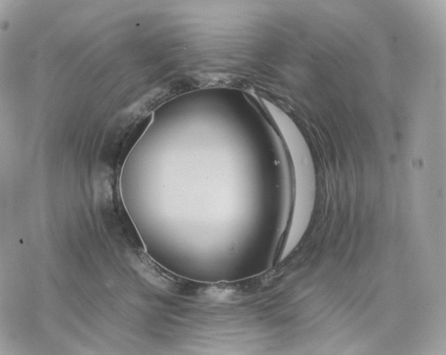 X0000075360570200609291504