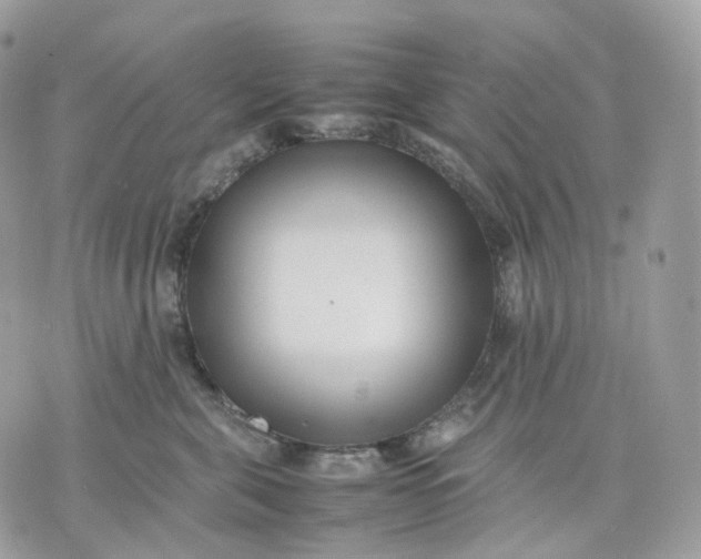 X0000075360571200609291504