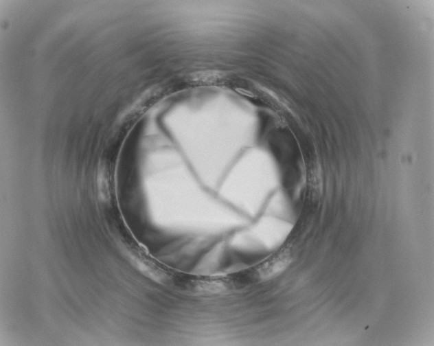 X0000075360572200609291504