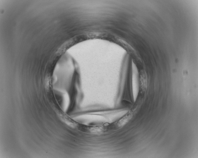 X0000075360574200609291504