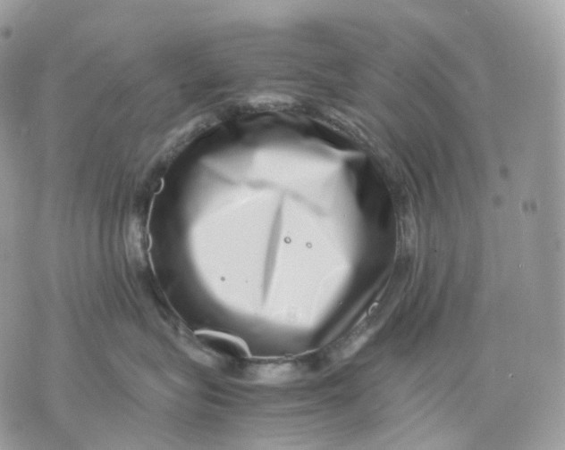 X0000075360575200609291504