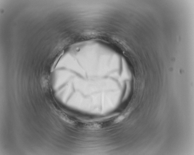 X0000075360576200609291504