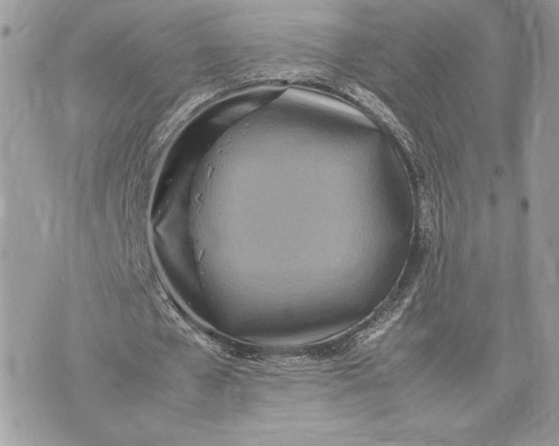 X0000075360577200609291503