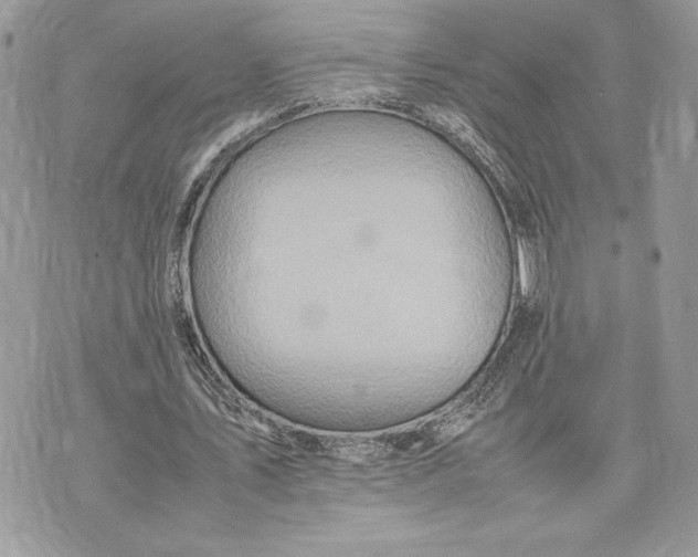 X0000075360579200609291503