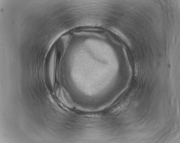 X0000075360580200609291503