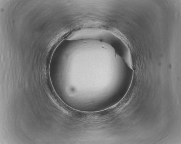 X0000075360581200609291503