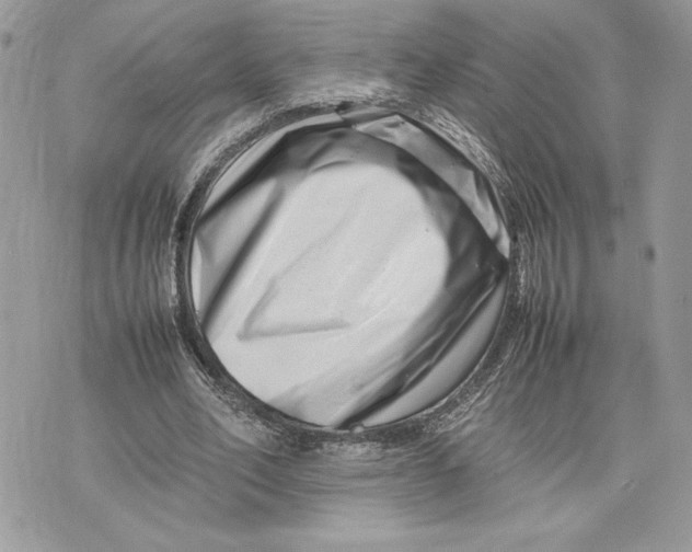 X0000075360582200609291503