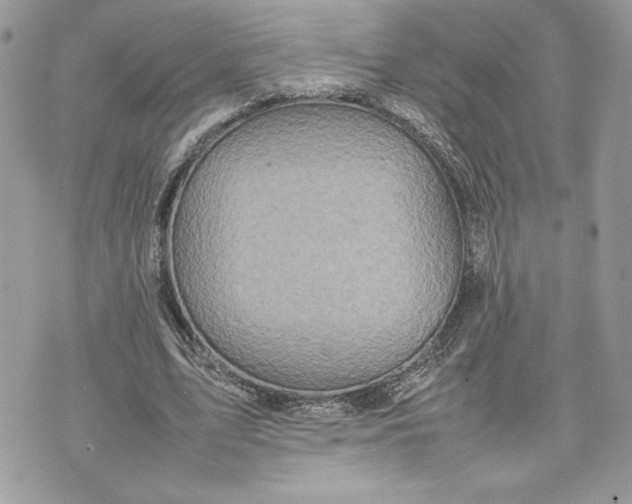 X0000075360583200609291503