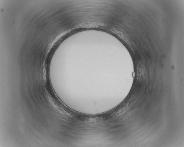 X0000075360584200609291503