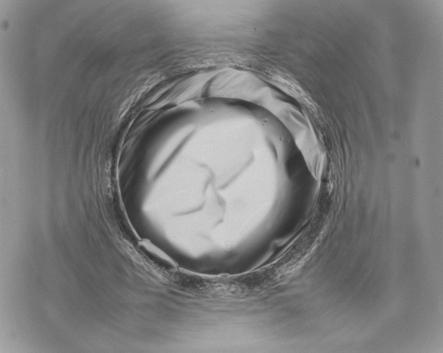 X0000075360585200609291503