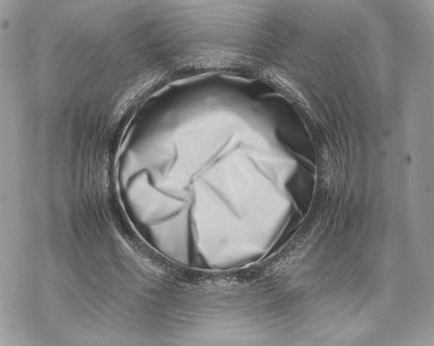 X0000075360586200609291503