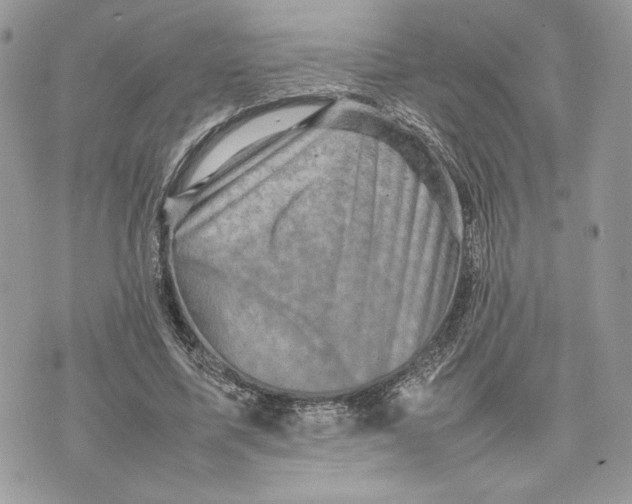 X0000075360587200609291503