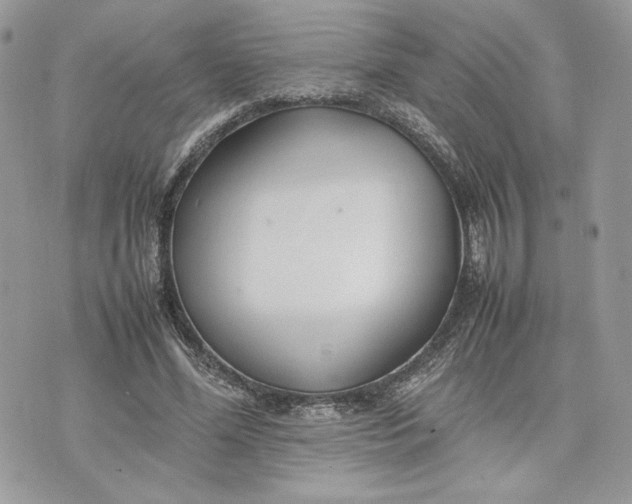 X0000075360588200609291503