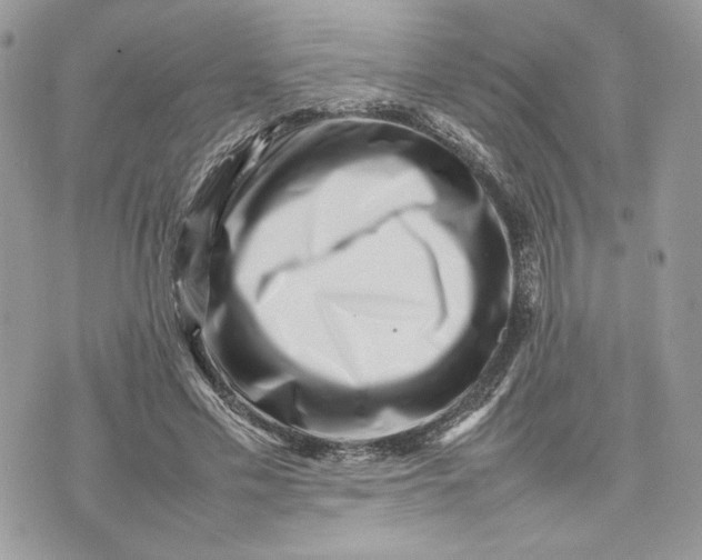 X0000075360589200609291503