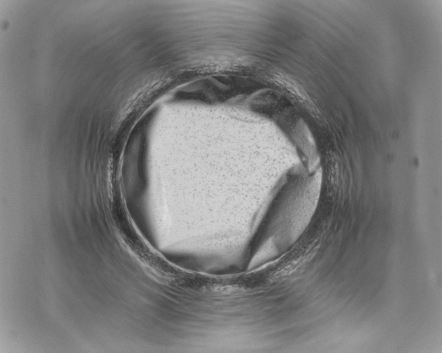 X0000075360590200609291503