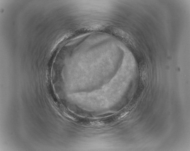 X0000075360591200609291503