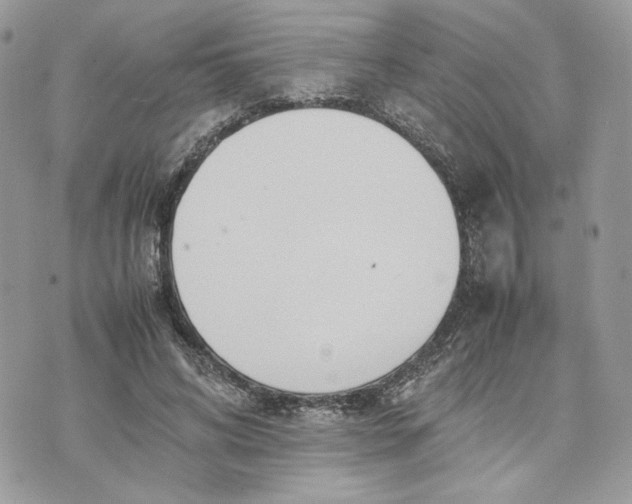 X0000075360592200609291503