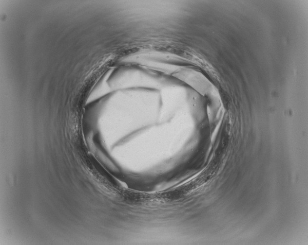 X0000075360593200609291503