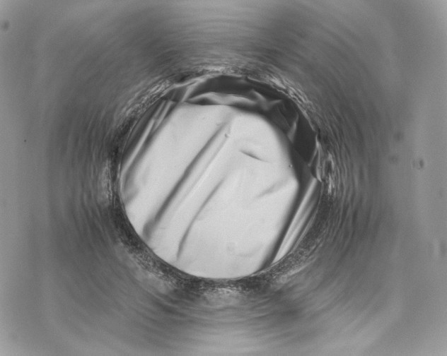 X0000075360594200609291503