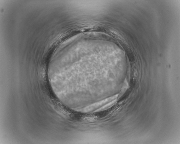 X0000075360595200609291503