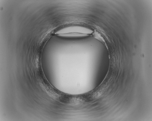 X0000075360596200609291503