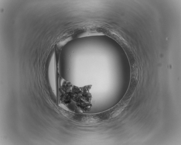 X0000075360597200609291503