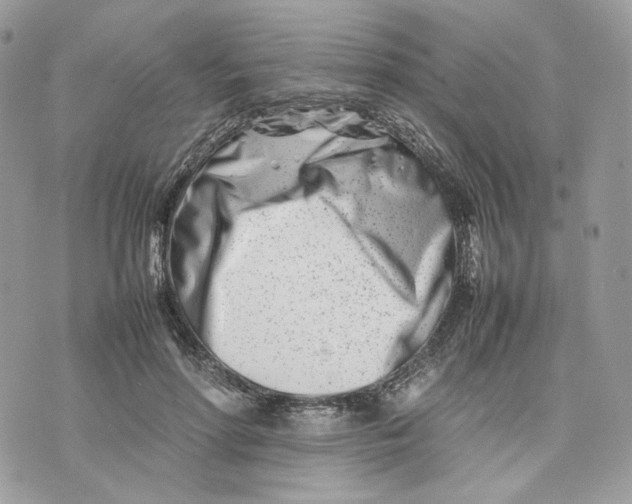 X0000075360598200609291503