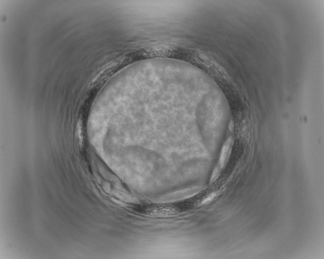 X0000075360599200609291503