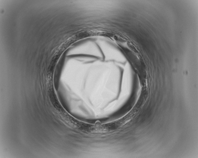 X0000075360601200609291503