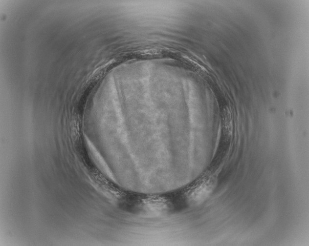 X0000075360603200609291503