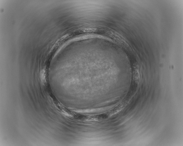 X0000075360604200609291503