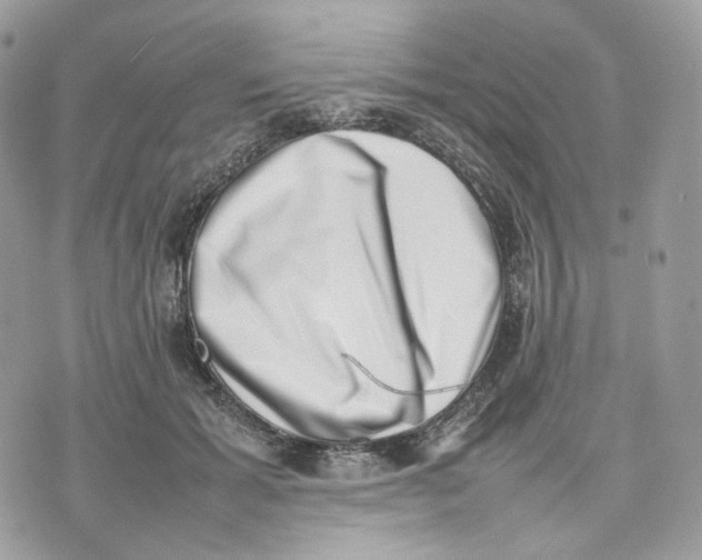 X0000075360605200609291503