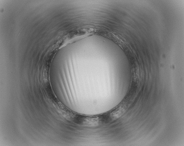 X0000075360606200609291503