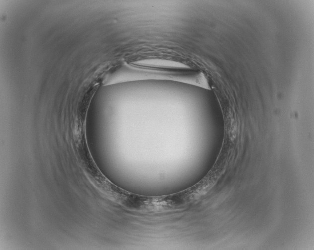 X0000075360607200609291503