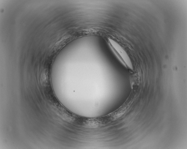 X0000075360608200609291503