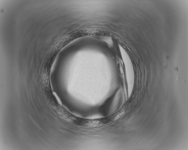 X0000075360609200609291503