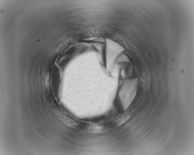 X0000075360610200609291502