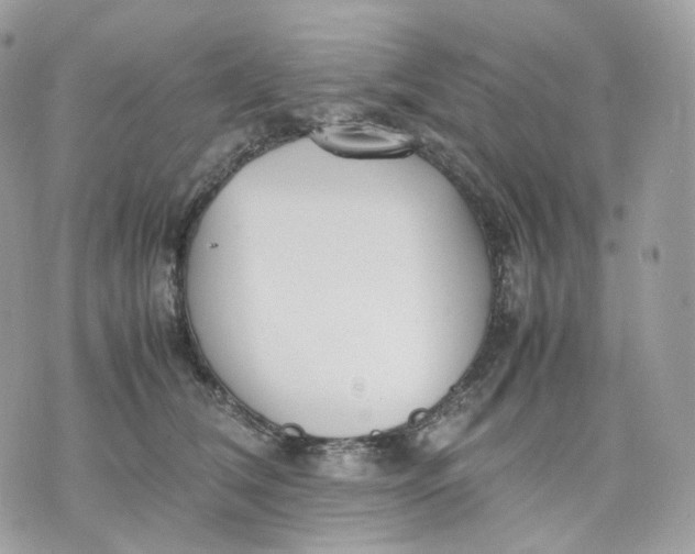 X0000075360612200609291502