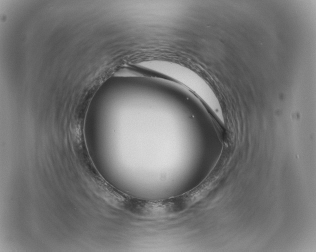 X0000075360613200609291502