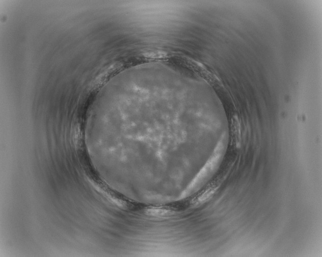 X0000075360614200609291502