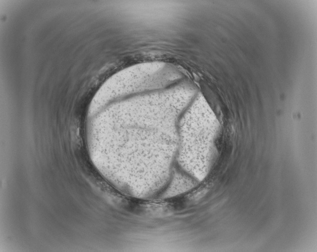 X0000075360615200609291502