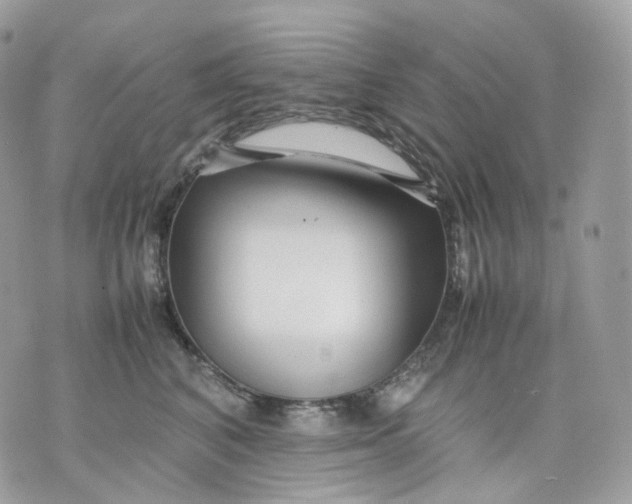 X0000075360616200609291502