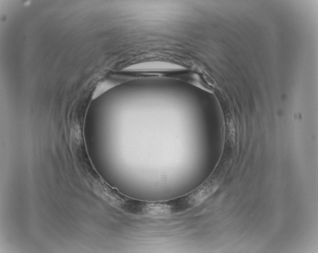 X0000075360617200609291502