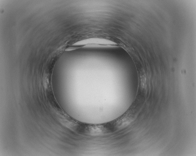 X0000075360618200609291502